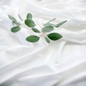 Antimicrobial linens: are they worth it?